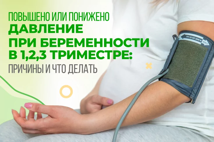 Повышено или понижено давление при беременности в 1,2,3 триместре: причины и что делать