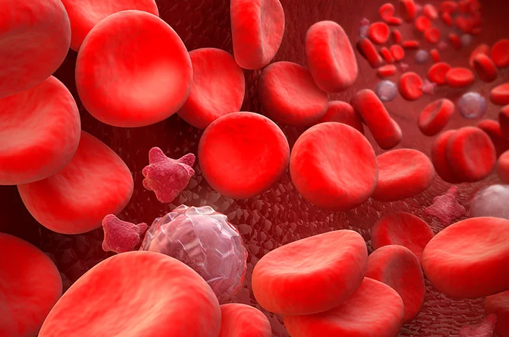 Низкие тромбоциты в анализе крови. Причины и последствия