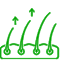 PRP