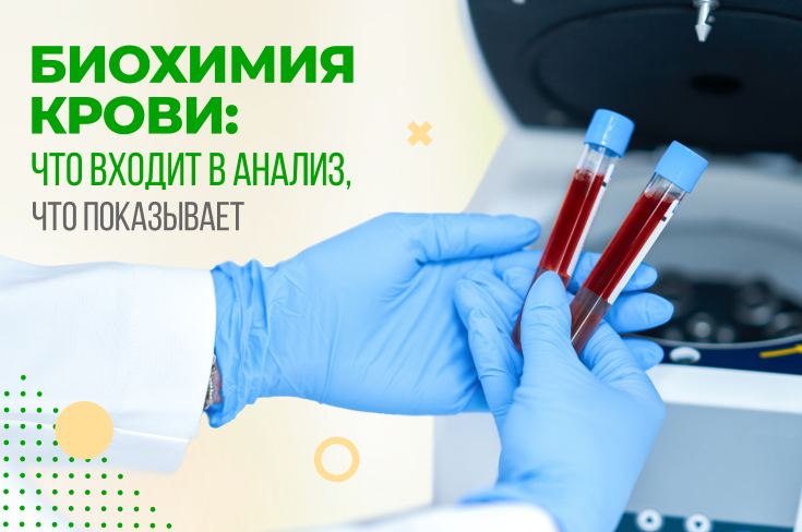Биохимия крови: что входит в анализ, что показывает